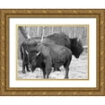 thumbnail image 1 of Phillip, Jamie 18x15 Gold Ornate Wood Framed with Double Matting Museum Art Print Titled - Bison Season, 1 of 4
