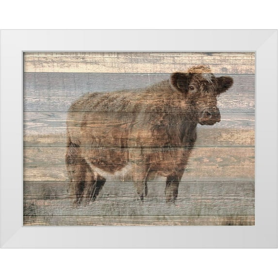 Phillip, Jamie 18x15 White Modern Wood Framed Museum Art Print Titled - Farm Cow