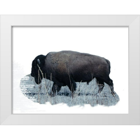 Phillip, Jamie 18x15 White Modern Wood Framed Museum Art Print Titled - Grazing Buffalo