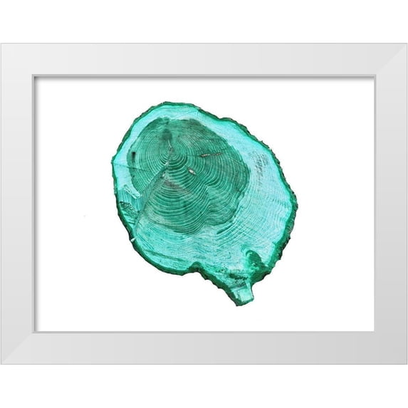 Phillip, Jamie 18x15 White Modern Wood Framed Museum Art Print Titled - Wood Rings
