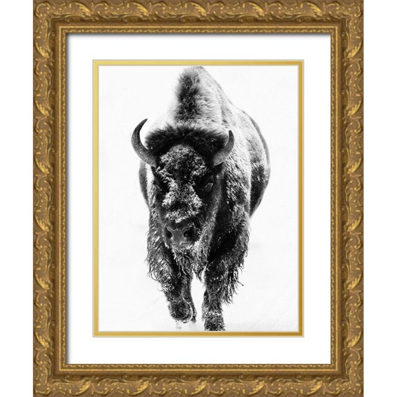 Phillip, Jamie 19x24 Gold Ornate Wood Framed with Double Matting Museum Art Print Titled - Snow Motion 3