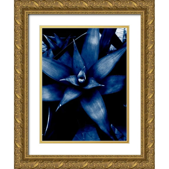 Phillip, Jamie 19x24 Gold Ornate Wood Framed with Double Matting Museum Art Print Titled - Tropical 6