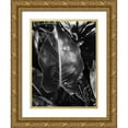 thumbnail image 1 of Phillip, Jamie 19x24 Gold Ornate Wood Framed with Double Matting Museum Art Print Titled - Tropical 8, 1 of 4