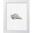 thumbnail image 1 of Phillip, Jamie 19x24 White Modern Wood Framed Museum Art Print Titled - Shell 1, 1 of 4