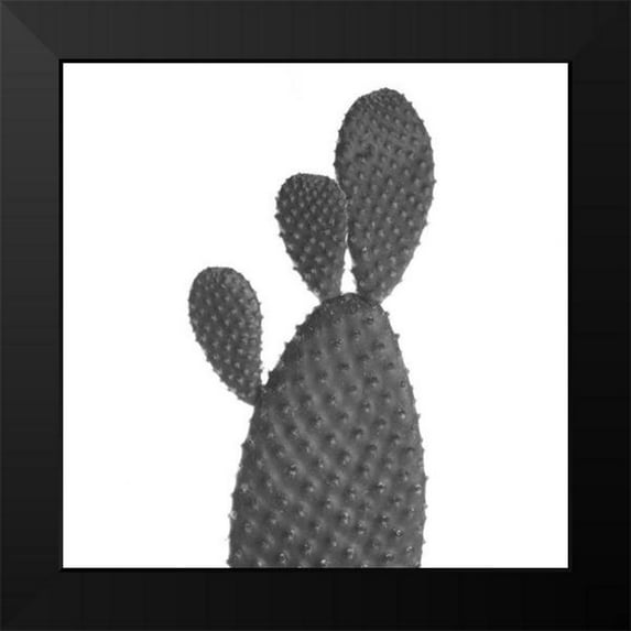 Phillip, Jamie 20x20 Black Modern Framed Museum Art Print Titled - Black Cactus