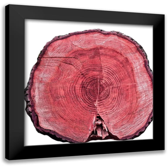 Phillip, Jamie 20x20 Black Modern Framed Museum Art Print Titled - Lodge Log 2