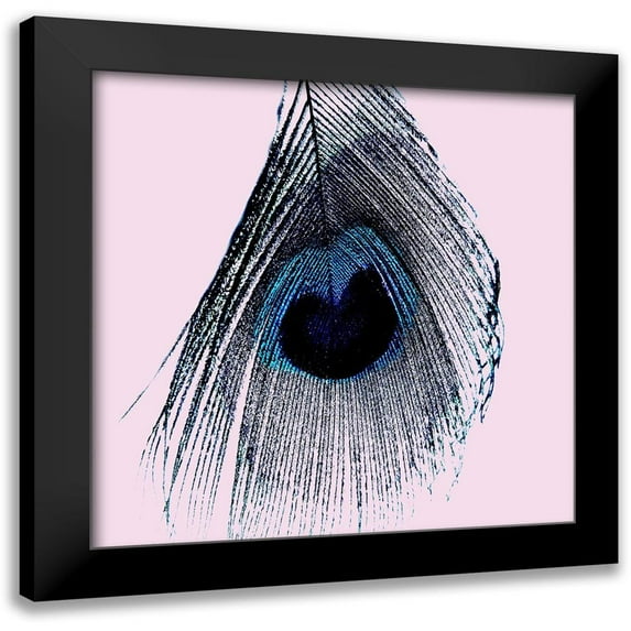 Phillip, Jamie 20x20 Black Modern Framed Museum Art Print Titled - Peacoke Feather