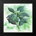 thumbnail image 1 of Phillip, Jamie 20x20 Black Modern Framed Museum Art Print Titled - Watercolor Flowers 2, 1 of 4