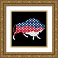 thumbnail image 1 of Phillip, Jamie 20x20 Gold Ornate Wood Framed with Double Matting Museum Art Print Titled - American Bison, 1 of 4