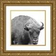 thumbnail image 1 of Phillip, Jamie 20x20 Gold Ornate Wood Framed with Double Matting Museum Art Print Titled - BW Bison, 1 of 4