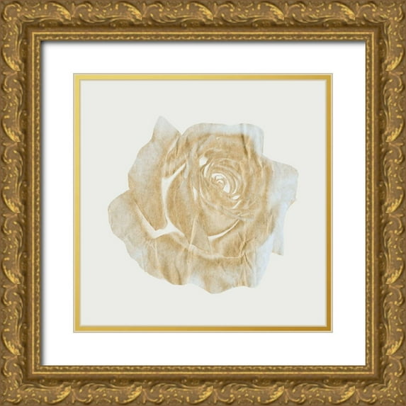 Phillip, Jamie 20x20 Gold Ornate Wood Framed with Double Matting Museum Art Print Titled - Copper Rose 3