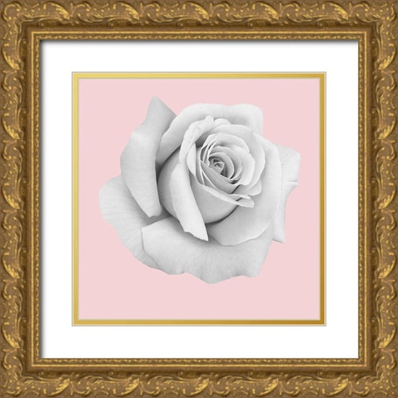 Phillip, Jamie 20x20 Gold Ornate Wood Framed with Double Matting Museum Art Print Titled - Rose Gold