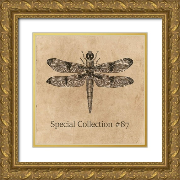 Phillip, Jamie 20x20 Gold Ornate Wood Framed with Double Matting Museum Art Print Titled - Special Collection 87