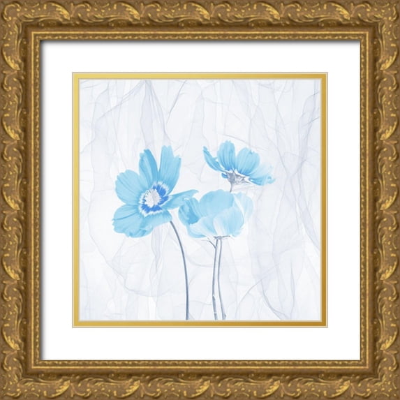 Phillip, Jamie 20x20 Gold Ornate Wood Framed with Double Matting Museum Art Print Titled - Xray Smoke