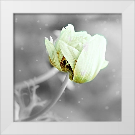 Phillip, Jamie 20x20 White Modern Wood Framed Museum Art Print Titled - Black and White Hue