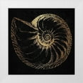 thumbnail image 1 of Phillip, Jamie 20x20 White Modern Wood Framed Museum Art Print Titled - Gold Shell, 1 of 4