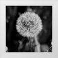thumbnail image 1 of Phillip, Jamie 20x20 White Modern Wood Framed Museum Art Print Titled - Morning Due 2, 1 of 4