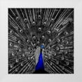 thumbnail image 1 of Phillip, Jamie 20x20 White Modern Wood Framed Museum Art Print Titled - Peacock Black, 1 of 4