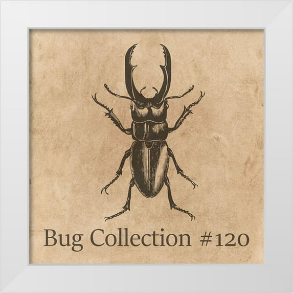 Phillip, Jamie 20x20 White Modern Wood Framed Museum Art Print Titled - Special Collection 120