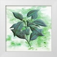 thumbnail image 1 of Phillip, Jamie 20x20 White Modern Wood Framed Museum Art Print Titled - Watercolor Flowers 2, 1 of 4