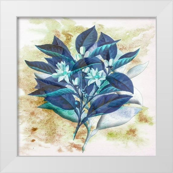 Phillip, Jamie 20x20 White Modern Wood Framed Museum Art Print Titled - Watercolor Flowers
