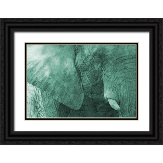 Phillip, Jamie 24x17 Black Ornate Wood Framed with Double Matting Museum Art Print Titled - Jungle Abstract 2