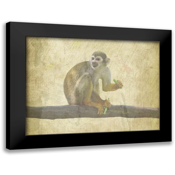 Phillip, Jamie 24x19 Black Modern Framed Museum Art Print Titled - Monkey Around