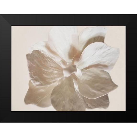 Phillip, Jamie 24x19 Black Modern Framed Museum Art Print Titled - Pure Life 1