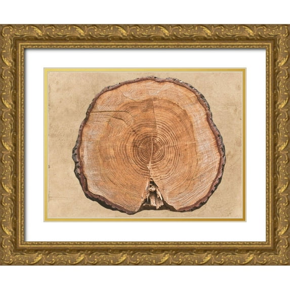 Phillip, Jamie 24x19 Gold Ornate Wood Framed with Double Matting Museum Art Print Titled - Old Lodge