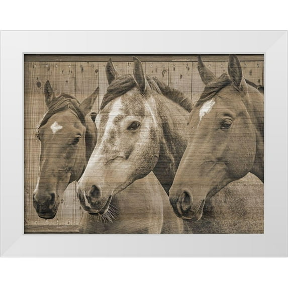 Phillip, Jamie 24x19 White Modern Wood Framed Museum Art Print Titled - Companion