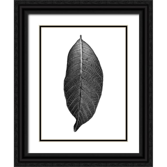 Phillip, Jamie 25x32 Black Ornate Wood Framed with Double Matting Museum Art Print Titled - Dark Moon Glow