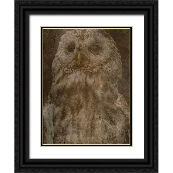 Phillip, Jamie 25x32 Black Ornate Wood Framed with Double Matting Museum Art Print Titled - Hidden Owl