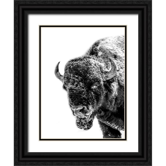 Phillip, Jamie 25x32 Black Ornate Wood Framed with Double Matting Museum Art Print Titled - Snow Motion 2