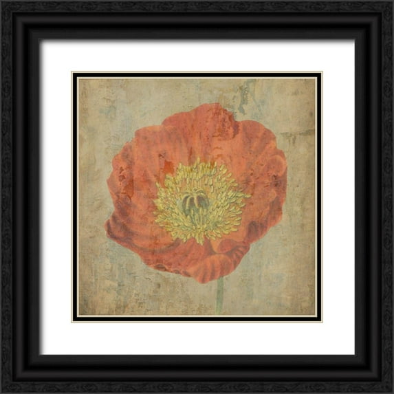 Phillip, Jamie 26x26 Black Ornate Wood Framed with Double Matting Museum Art Print Titled - Painted Garden 1