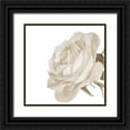 thumbnail image 1 of Phillip, Jamie 26x26 Black Ornate Wood Framed with Double Matting Museum Art Print Titled - White Rose 2, 1 of 4