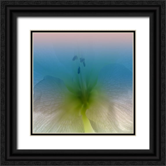 Phillip, Jamie 26x26 Black Ornate Wood Framed with Double Matting Museum Art Print Titled - Xray