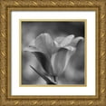 thumbnail image 1 of Phillip, Jamie 26x26 Gold Ornate Wood Framed with Double Matting Museum Art Print Titled - Tulip BW 3, 1 of 4
