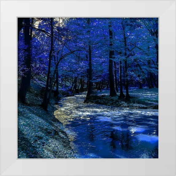 Phillip, Jamie 26x26 White Modern Wood Framed Museum Art Print Titled - Mystical Blue Ravine