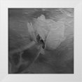 thumbnail image 1 of Phillip, Jamie 26x26 White Modern Wood Framed Museum Art Print Titled - Paint Textured Rose, 1 of 4