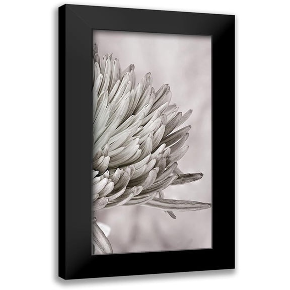 Phillip, Jamie 9x14 Black Modern Framed Museum Art Print Titled - Aroma 2
