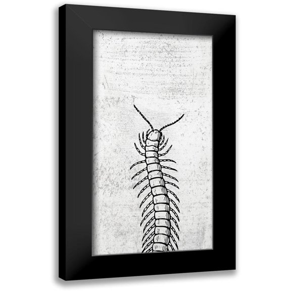 Phillip, Jamie 9x14 Black Modern Framed Museum Art Print Titled - Spring Bug