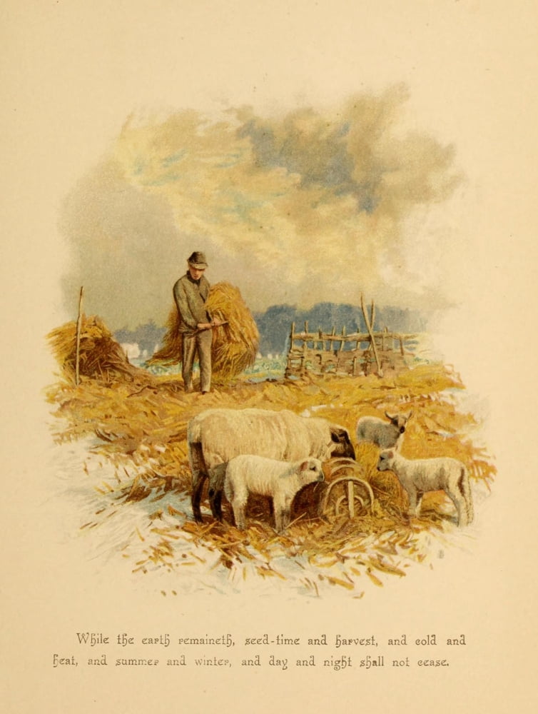 Phillips Brookss Poems 1890 Sheep Canvas Art - Unknown (18 x 24)