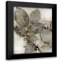 Phillips, Kathryn 12x14 Black Modern Framed Museum Art Print Titled - Birch Leaves II