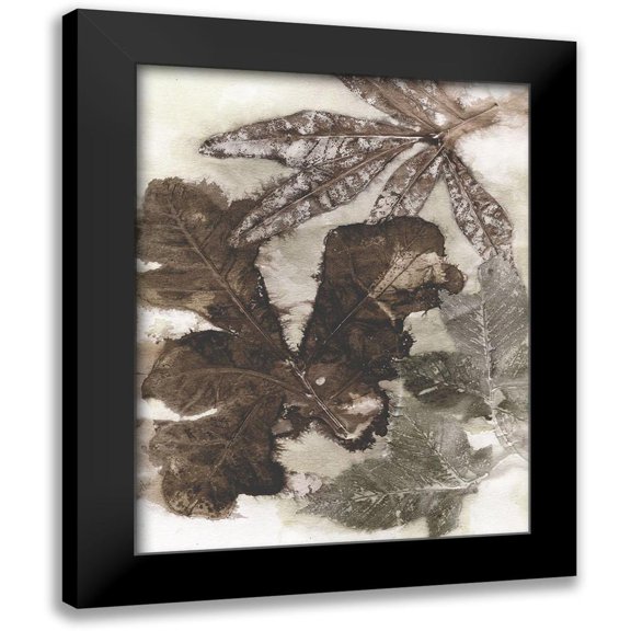 Phillips, Kathryn 12x14 Black Modern Framed Museum Art Print Titled - Oak Leaves