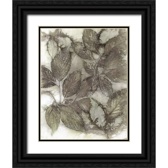Phillips, Kathryn 12x14 Black Ornate Wood Framed with Double Matting Museum Art Print Titled - Dogwood Leaves III