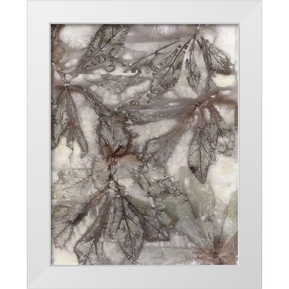 Phillips, Kathryn 20x24 White Modern Wood Framed Museum Art Print Titled - Water Oak Leaves