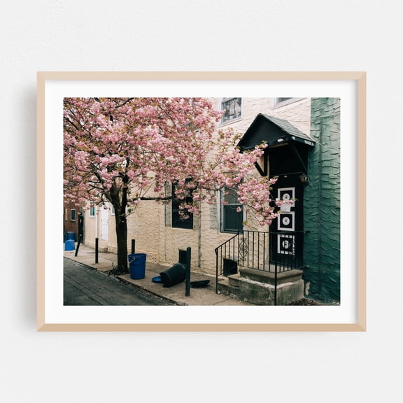 Philly Residential 08 - Philadelphia Pennsylvania Photography Oak Framed Wall Art Print 16 x 20 inches