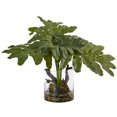 thumbnail image 1 of Philodendron Arrangement with Vase, 1 of 1