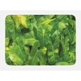 thumbnail image 1 of Philodendron Bath Mat, Photo of Fresh Green Monstera Tropic Nature Botany, Plush Bathroom Decor Mat with Non Slip Backing, 29.5" X 17.5", Yellow Olive Green, by Ambesonne, 1 of 2
