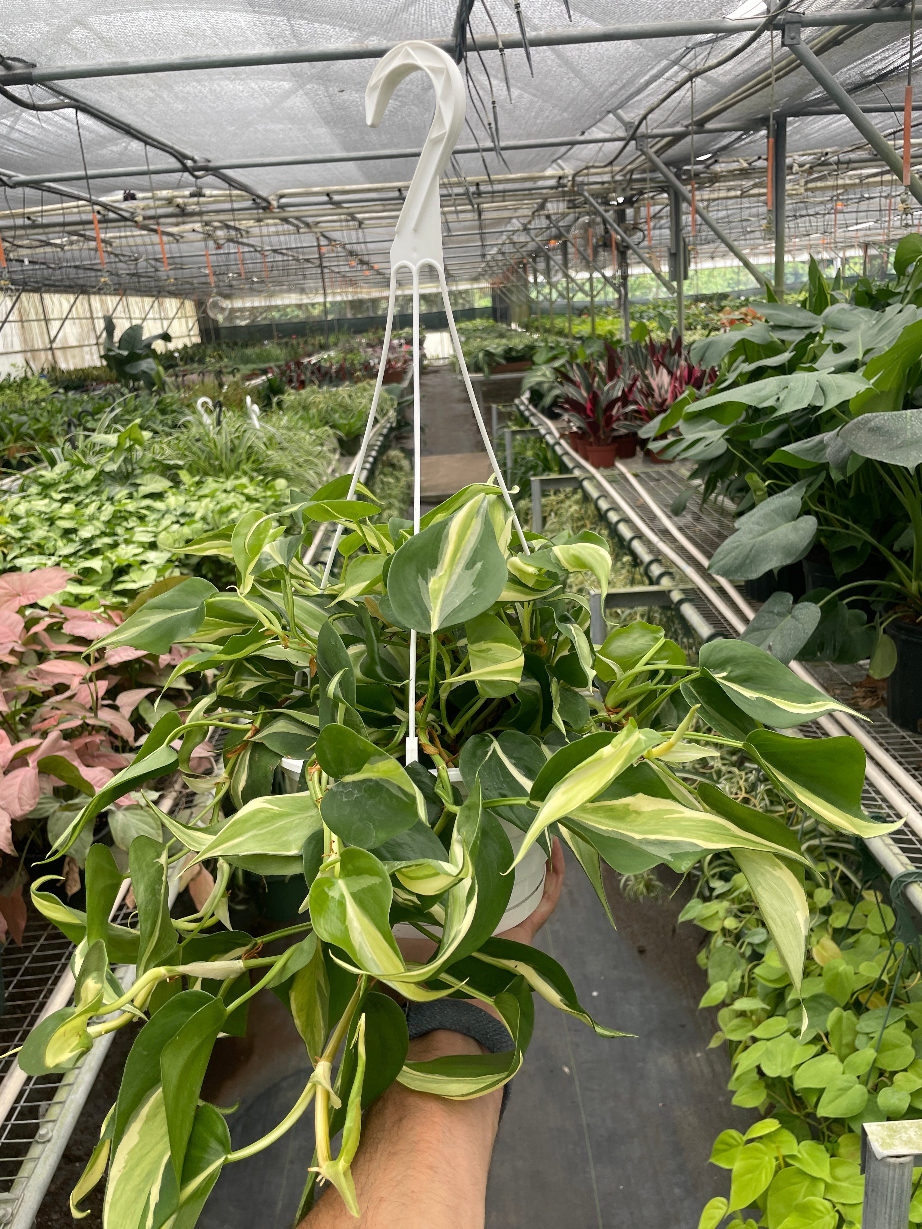Gallery image with a fresh perspective